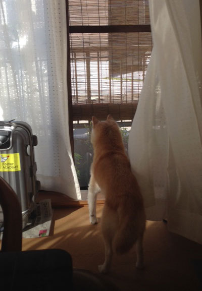 20150722_1.jpg