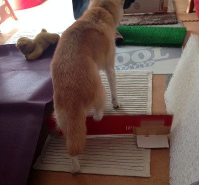 20150805_3.jpg