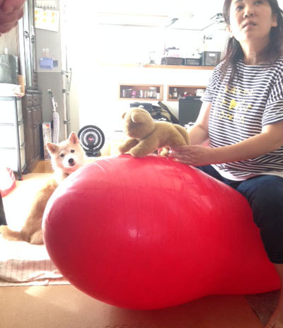 20150805_4.jpg