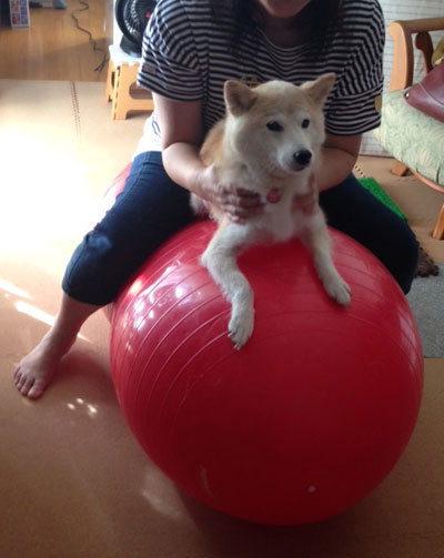 20150805_5.jpg