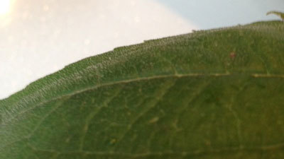 20150823_7.jpg