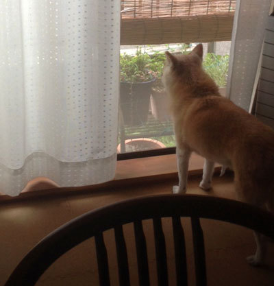 20150824_2.jpg