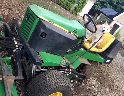 20150921_23.jpg
