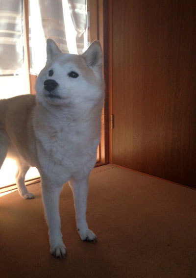 20151013_3.jpg