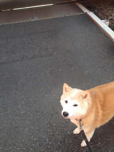 20151101_9.jpg