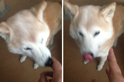 20160226_4.jpg