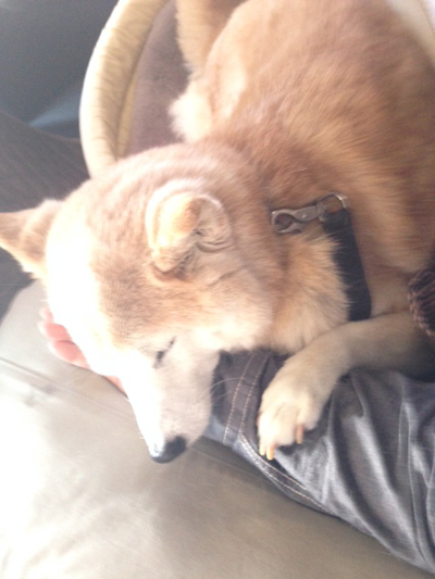 20160315_5.jpg
