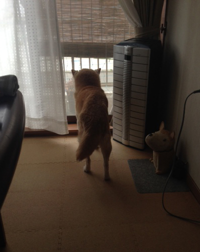 20160402_1.jpg
