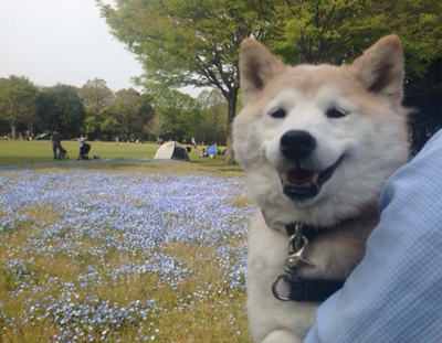 20160416_7.jpg
