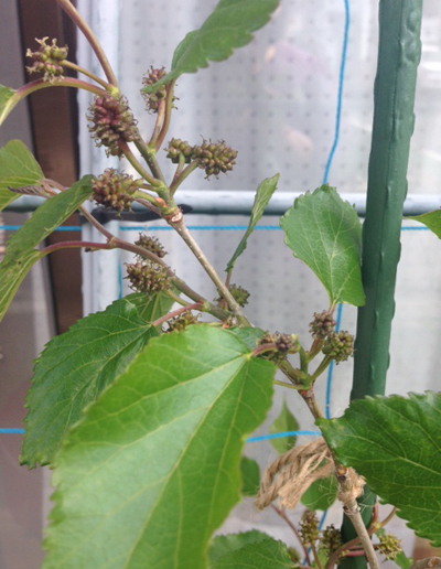 20160418_6.jpg