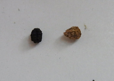 20160607_2.jpg