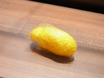 20160607_9.jpg