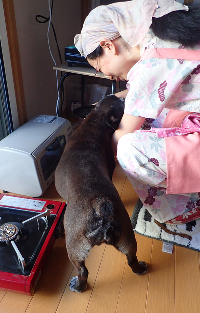 20160618_9.jpg