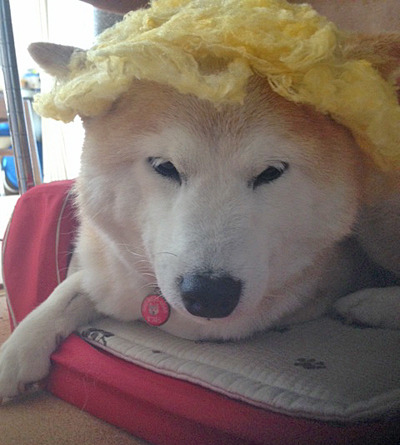 20160627_1.jpg