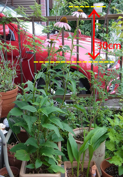 20160628_8.jpg