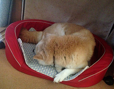 20160706_11.jpg