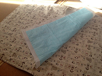 20160706_5.jpg