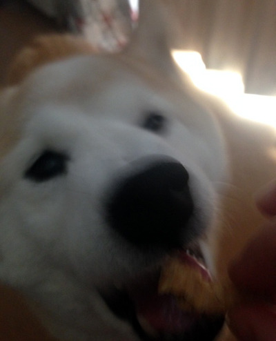 20160711_27.jpg