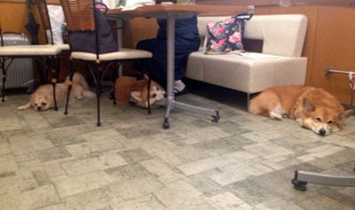 20160722_2.jpg