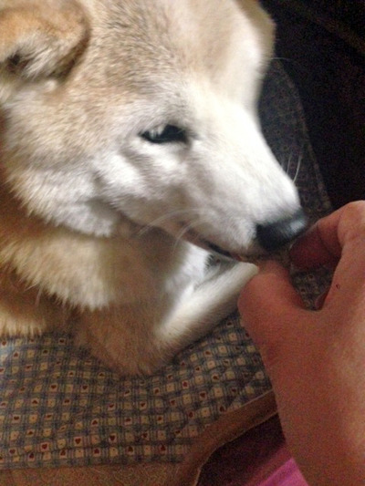20170124_14.jpg