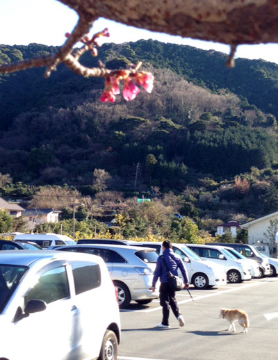 20170126_12.jpg