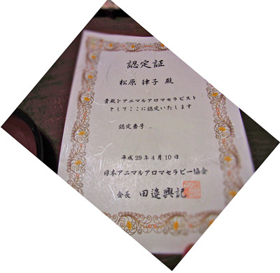 20170411_1.jpg