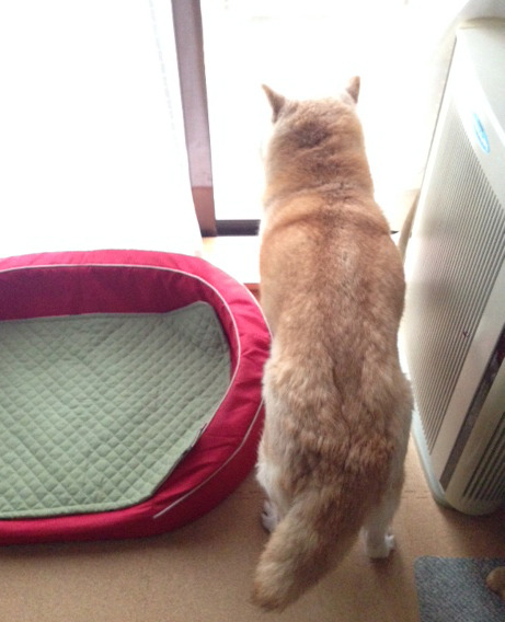 20170416_14.jpg