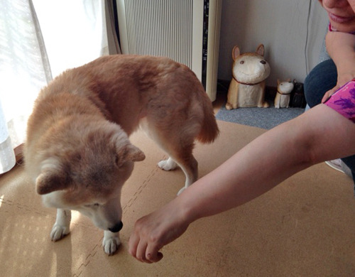 20170511_14.jpg