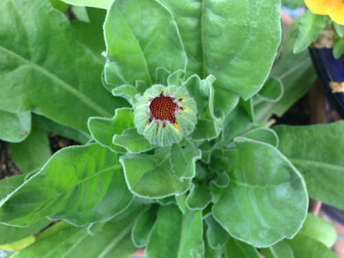 20170516_1.jpg