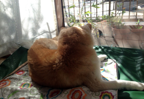 20171023_12.jpg