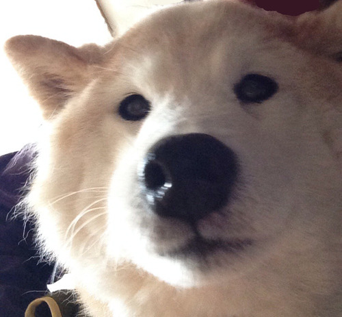 20180420_2.jpg