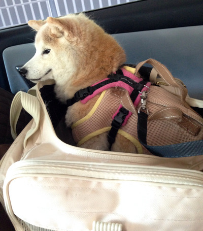 20180603_13.jpg