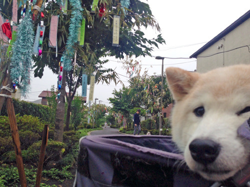 20180707_15.jpg