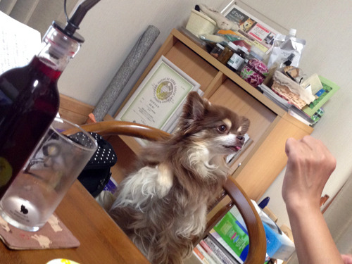 20180802_5.jpg