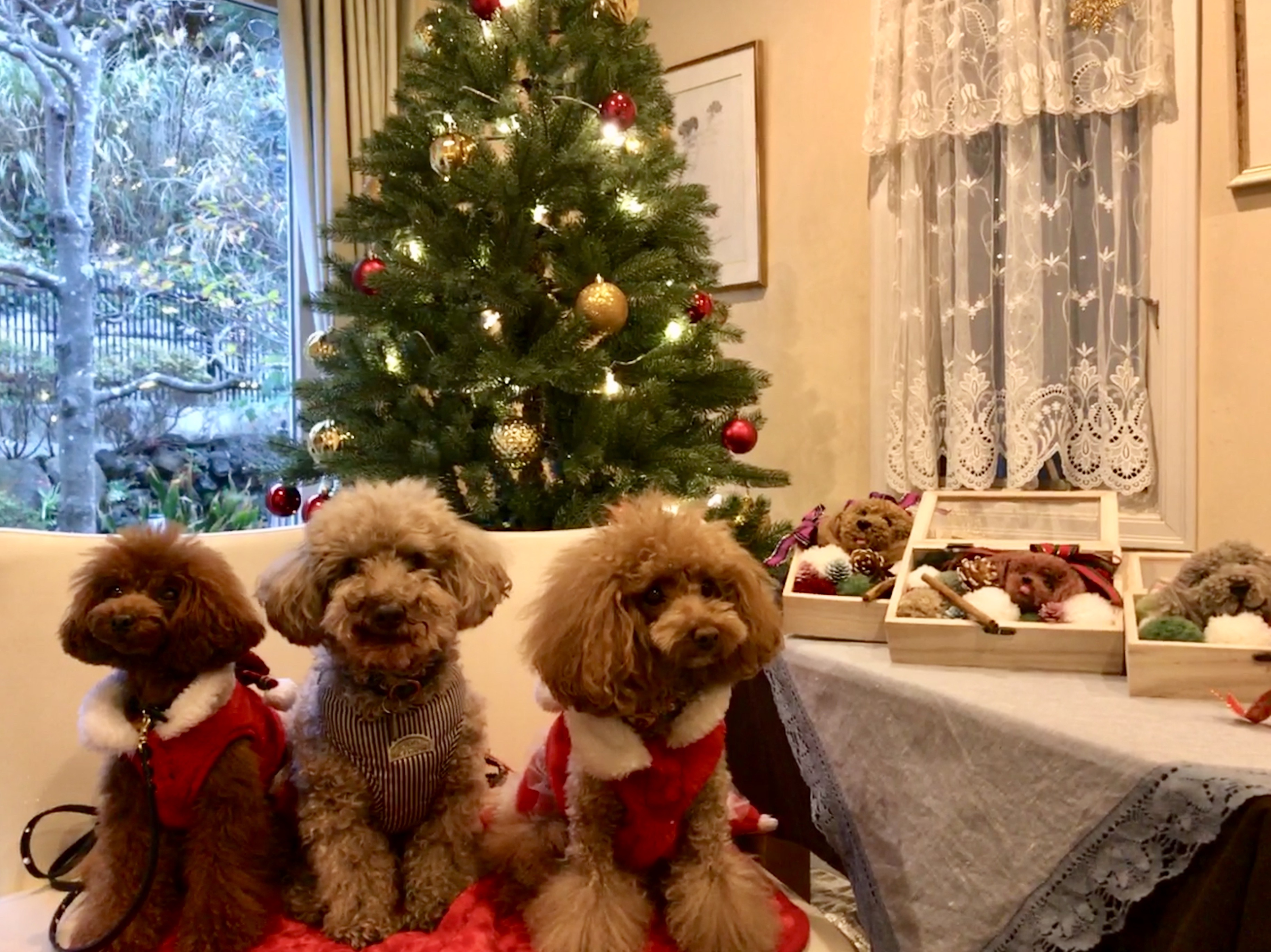 20181208.jpg