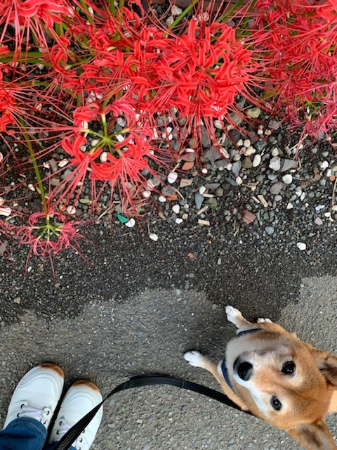 36C0A051-305C-4394-A70C-095D3B0AFDA9.jpeg