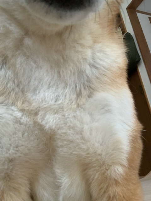 377FBDE0-4C0C-4479-A809-53D268FE7B8E.jpeg