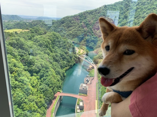 5A3D9371-F39A-4161-8B44-867AF683DDB7.jpeg