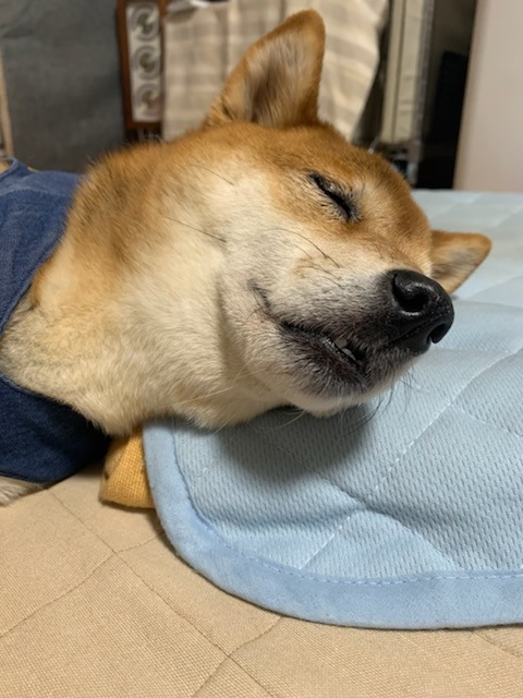 B9E317D3-EA09-4F0E-A0D9-30CE2DDFC0F0.jpeg