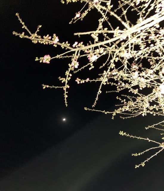 CB908018-7B82-44F0-BB74-8E3557D9D23E.jpeg