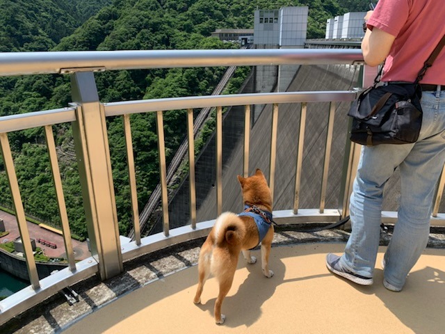D272BD97-793F-422F-B9C8-89E87C42A222.jpeg