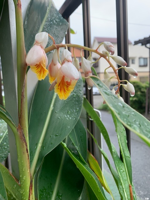 E060989D-D5B0-4D38-B001-2E256788D003.jpeg