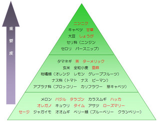 デザイナーフーズ.jpg