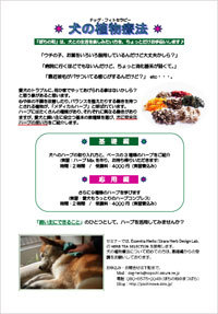blog_201306.jpg