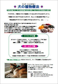 dog_phytotherapy_poster.jpg