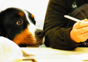 temp_20120224_3.jpg