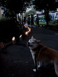 temp_20120811_3,jpg.jpg