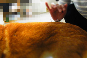 temp_20121120_4.jpg